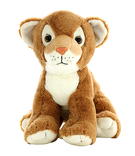 *CLEVELAND ELEMENTARY, OK