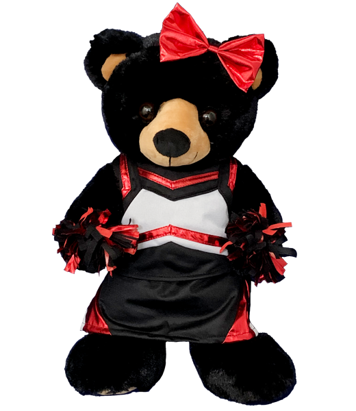 *CHEER OUTFIT FUNDRAISER PREMIUM ADD-ON