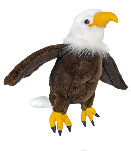 "Liberty" the Bald Eagle (16")